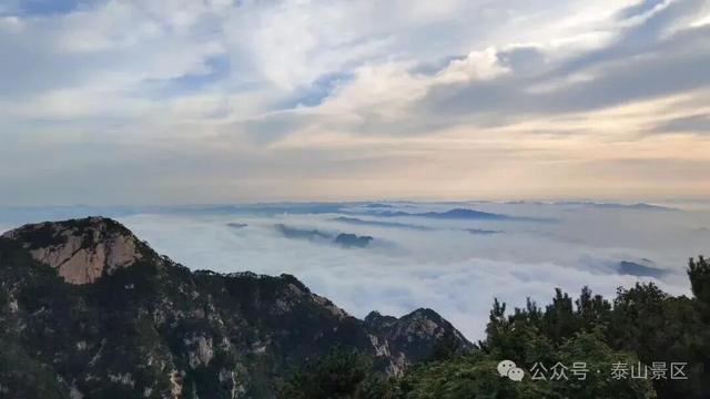 我想离开浪浪山，去看看泰山的四季轮转！