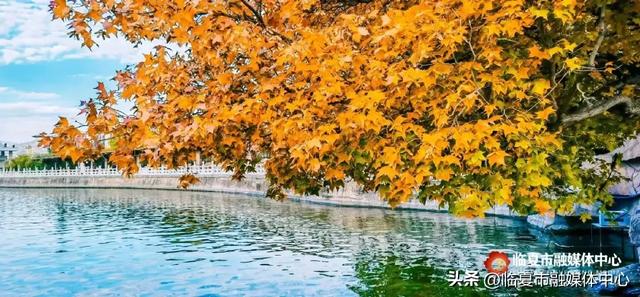 飞阅花都④丨漫步东郊公园 邂逅秋日风光 静享“天然氧吧”