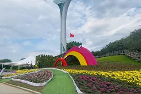 菊香三万里 国潮耀世园 沈阳世博园第23届金秋菊花文化节即将盛大启幕图片