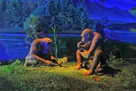 打脸非洲起源说9：人类起源于非洲跟DNA基因、分子生物学没有关系图片