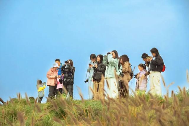 初冬限定！观鸟、彩叶、遛娃一站式，承包全家 “零负担” 快乐