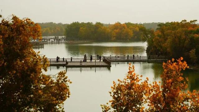 邢强 | 秋游南疆