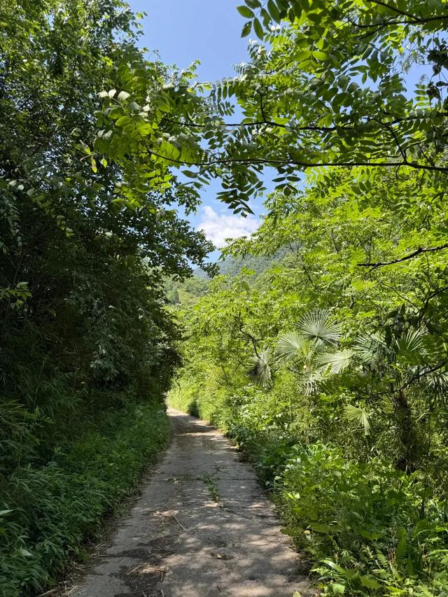 快收藏！新发现的耍水徒步地，成都1h直达，清凉人少且免费！