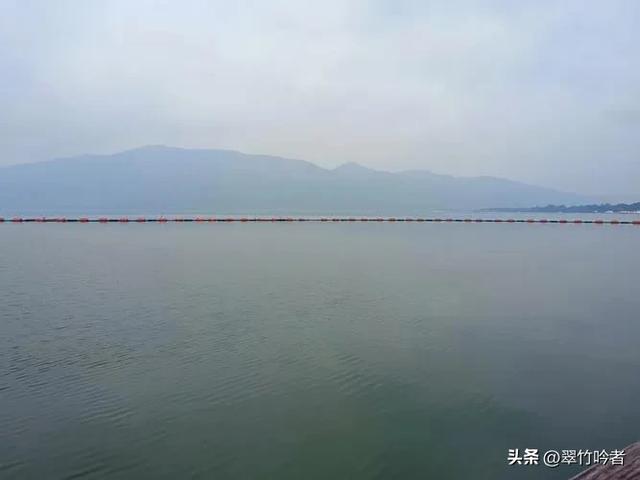 后悔来晚了，地铁直达的免费宝地，遛娃拍照绝佳，周末立刻出发。