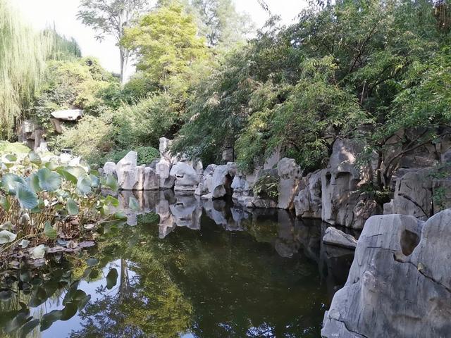 初秋的济南市百花公园