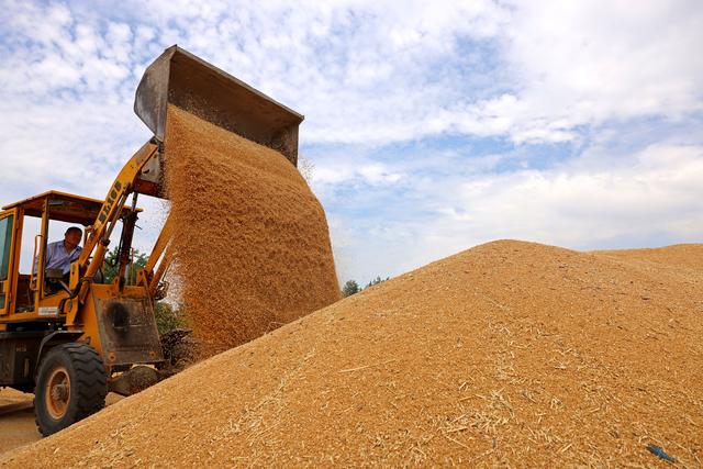 美启动111亿对台军售，不到24小时收到报告：中方取消13万吨订单