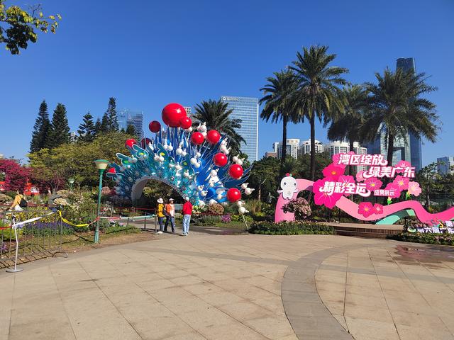 花城看花看灯饰
