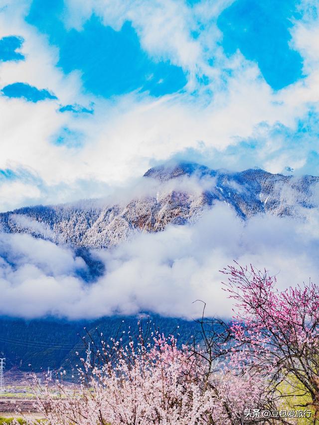 西藏林芝深度游：邂逅雪山桃花与森林的浪漫