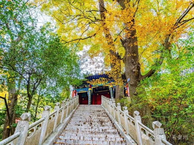 镜瞰秦州·悦秋