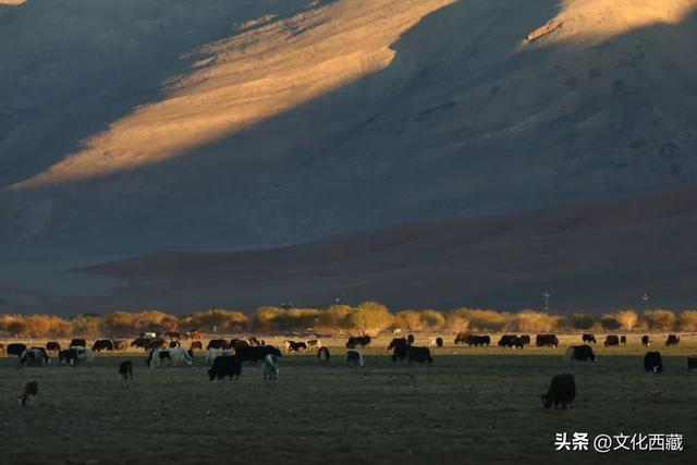 世界级风景，全部0元！西藏阿里这份“免费景点”清单请收好！