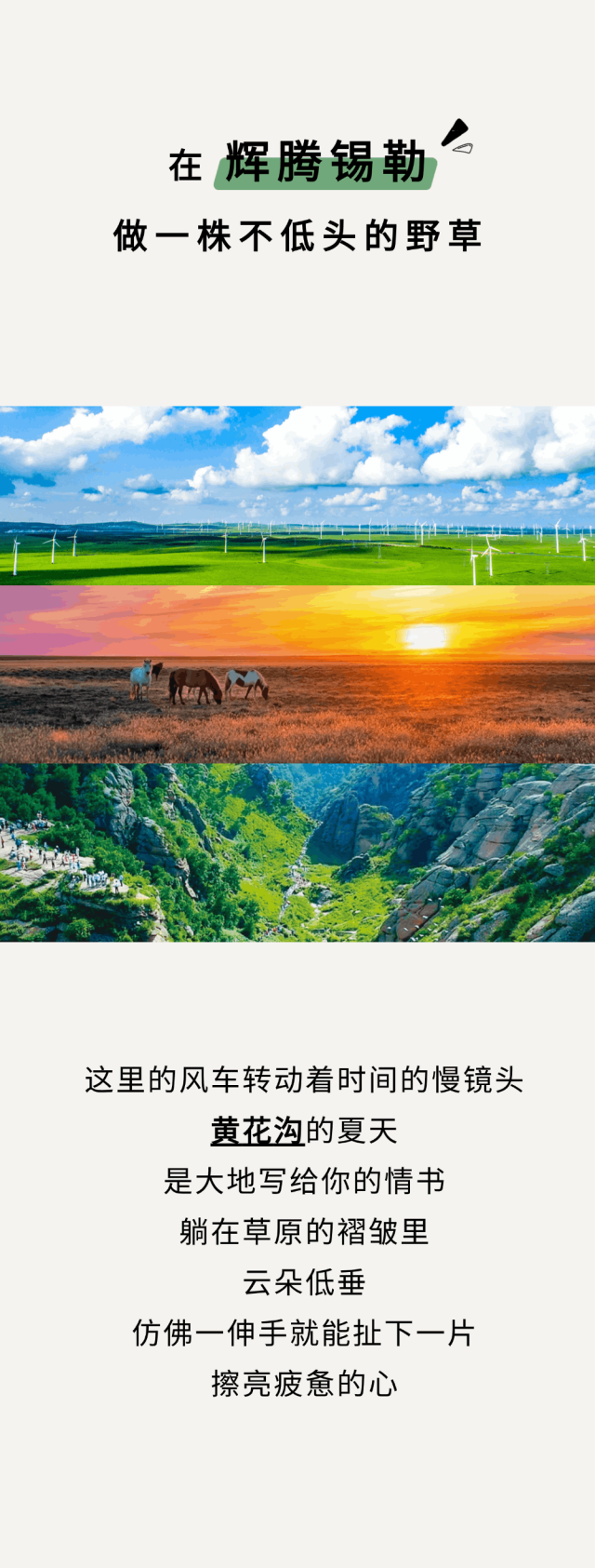 离开浪浪山 去乌兰察布的风里找自己