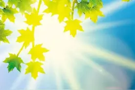 新华保险威海中支：爱，一直在图片