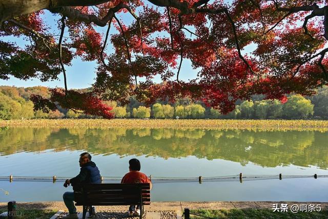 杭州西湖的景色还不错！