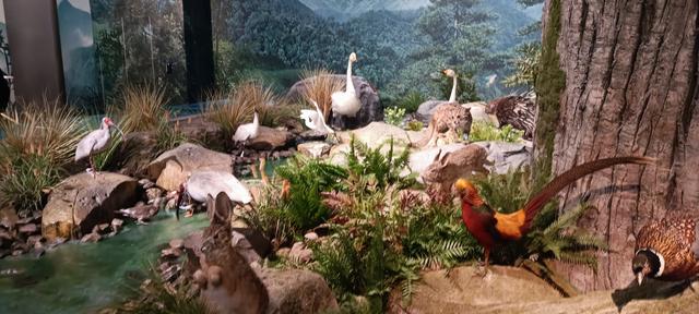 那么近，那么美，周末到商洛了——大美商洛秦岭博物馆