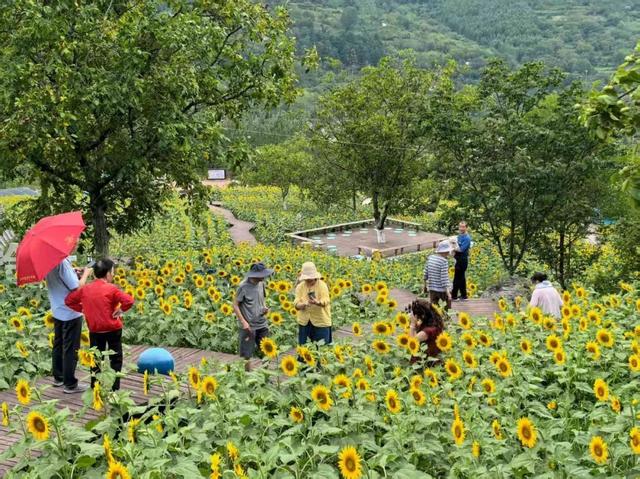 山水云屏 艺术共舞｜“跟着艺术游陇南”走进云屏三峡