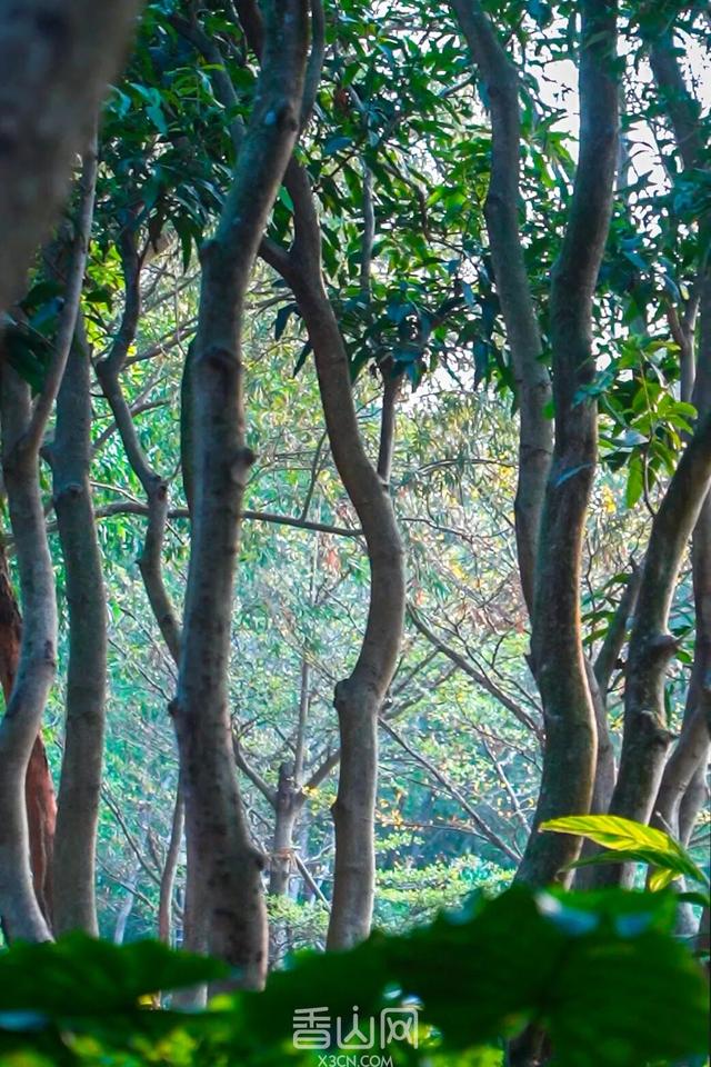 珠海5000年沙丘遗址秘境，免费开放！