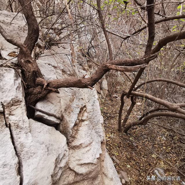 &067.探路北道沟（下）