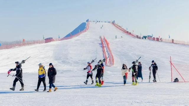 告别单调!黑龙江承包你要的“冬日名场面”