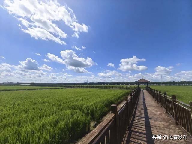 走进长春！150个网红打卡地之稻渔综合种养示范基地