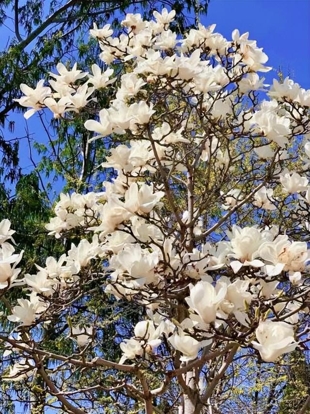 水上公园发布预告