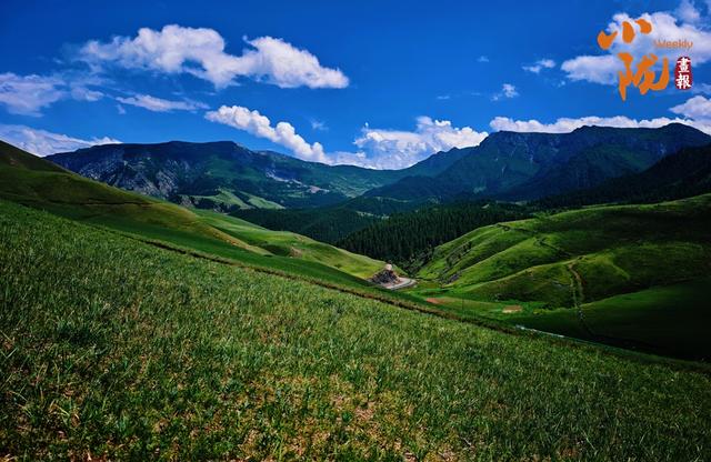 【小陇画报·406期】红石窝草原的秋 藏在高山上的诗意