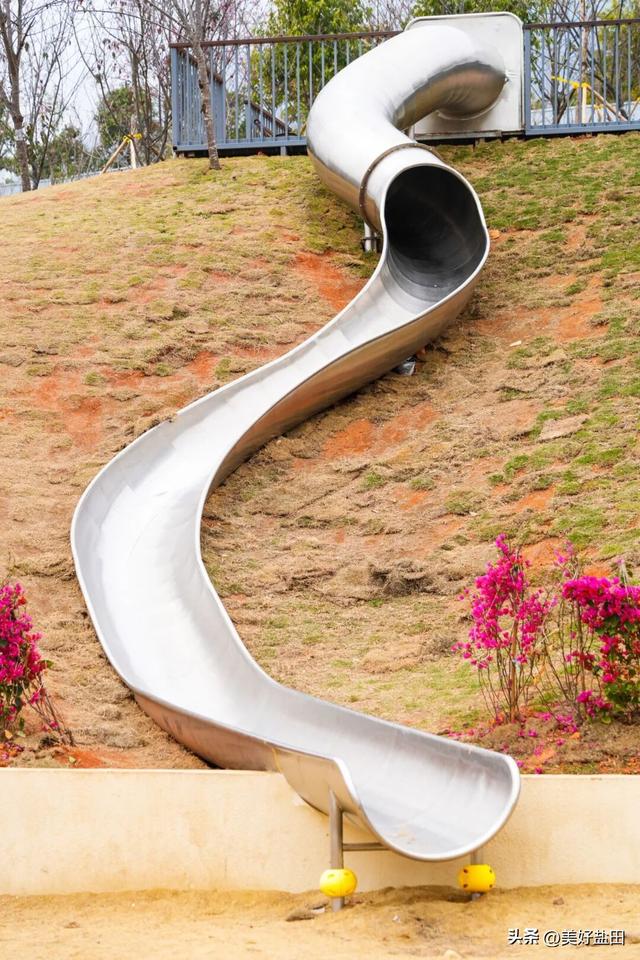 二刷、三刷……遛娃党解锁恩上湿地新玩法！