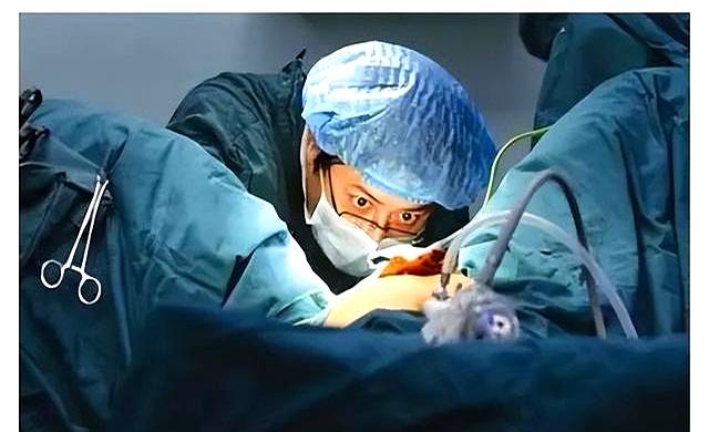 90后产妇生娃时遇上“生理需求”，男医生：见怪不怪，现场解决