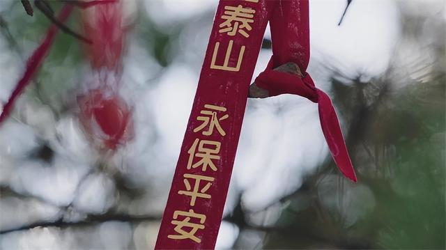 2025年全国“我们的节日・重阳”主题文化活动即将在山东泰安启幕 泰安邀四海宾朋共赴重阳之约