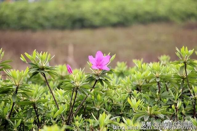 从九江到南昌：我的见闻与感慨 （江西之旅第十六篇）