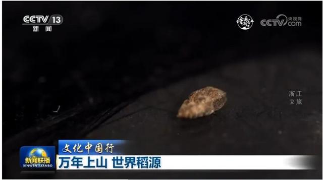 比国清寺还绝的寺庙，打卡黑神话同款，这个秘境小城太宝藏了！