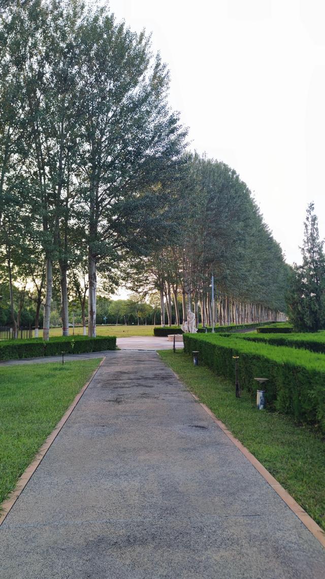 银川花博园真的好大，好大，是我见过的最大的花园