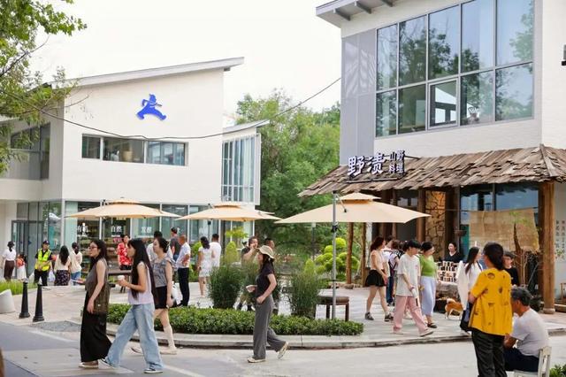 莫干山的文旅新实践，山野里长出了新日常