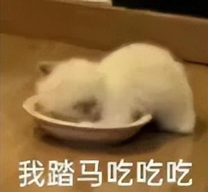 在合江的巴士里吃火锅是种什么体验？