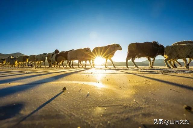 藏源山南欢迎您——Welcome to Shannan, the Cradle of Xizang