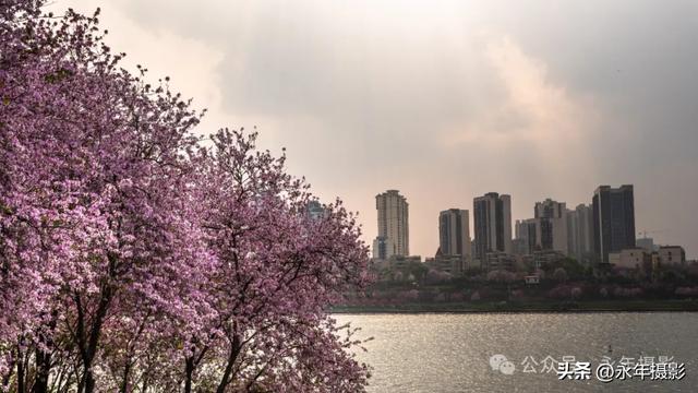 自驾环游中国行（二十九）广西柳州到桂林十里画廊