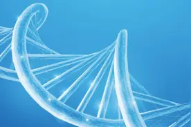 国产减肥药领域再迎突破！玛仕度肽为信达生物带来业绩增量？图片