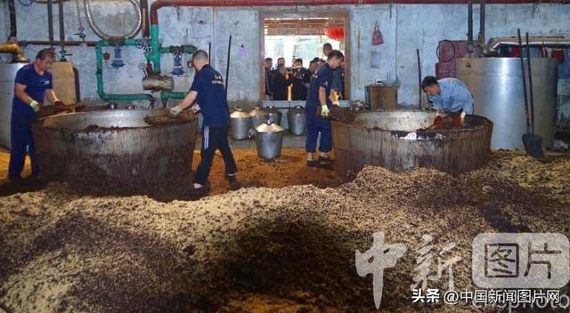 2025天津芦台春酒文化开启