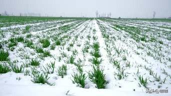 “最怕十月初一是晴天”，今天十月初一，晴天有什么可怕的？