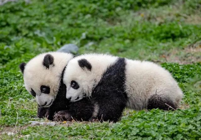 入秋暑气未消，关21℃的汶川什么事？