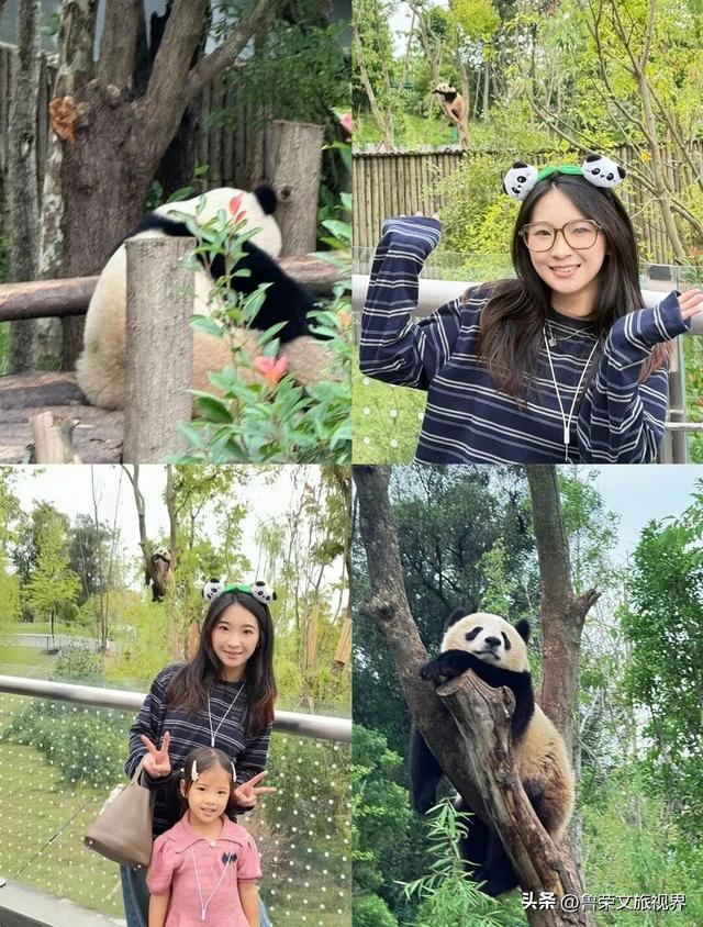 川西秋韵长卷：从九寨秘境到古城烟火