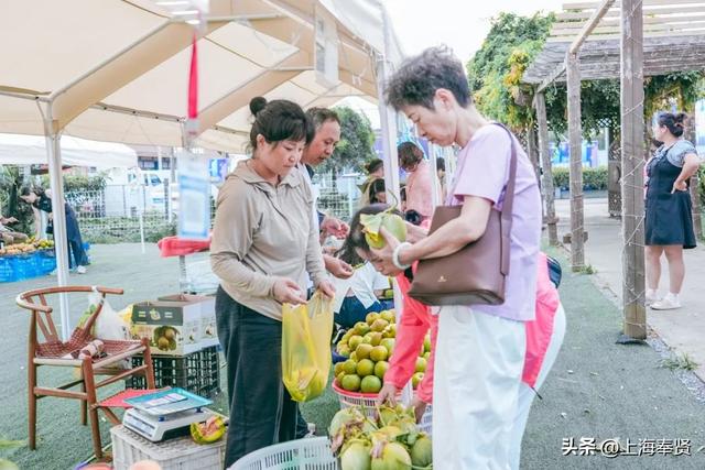 庄行伏羊节“开挂”了！短短10天接待游客突破20万人次！