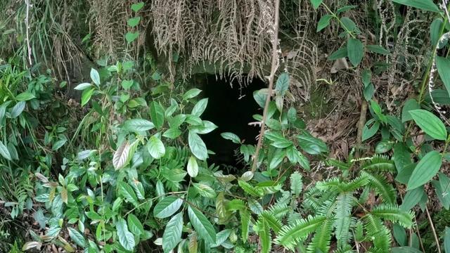 重庆大学城深山发现一排蛮子洞，内部有古人留下的文字和生活痕迹