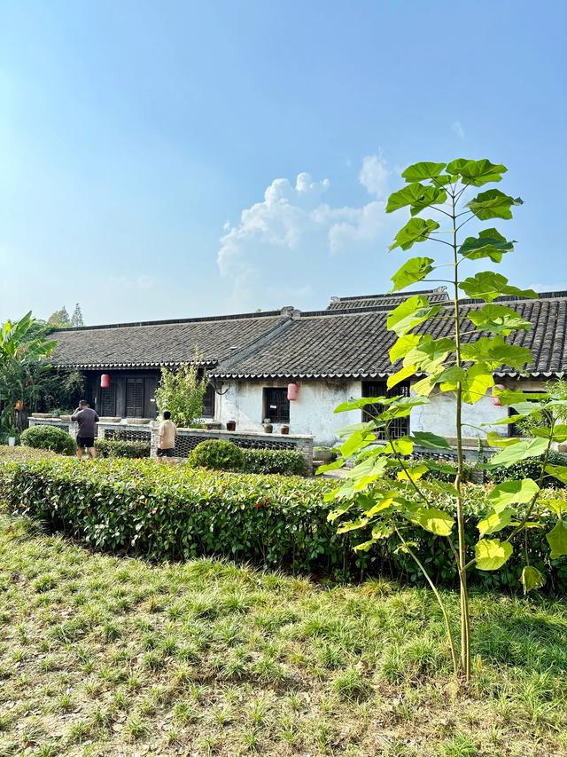 沈荡故事（嘉兴海盐县沈荡镇）