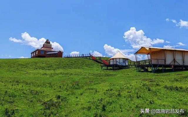 千年药乡•康养宕昌 | 别等！宕昌大草原的“绿毯”要收了，现在打卡正当时