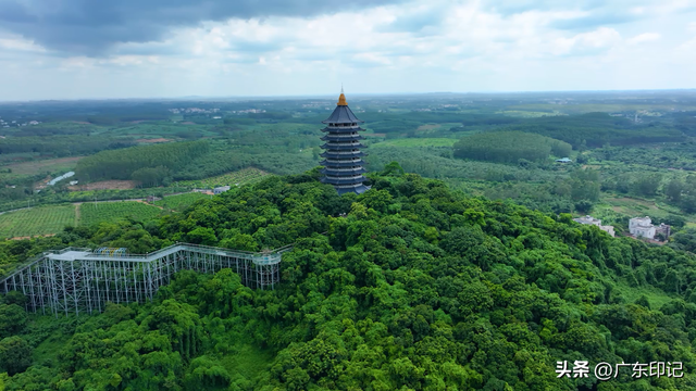 中国橙乡，魅力廉江
