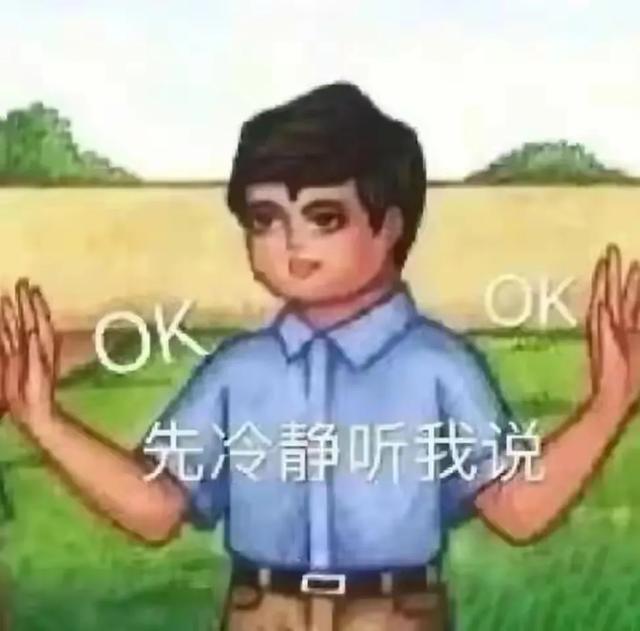 没有源代码，他用五年时间把红警2重写了。