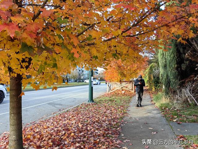 温哥华游记（六）