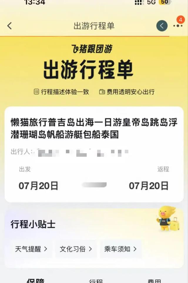 中国女游客泰国游玩被树砸倒不幸去世，女儿：特意安排的退休旅行，想让妈妈完整回家
