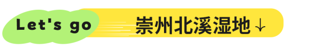 逃离38℃！成都周边12个清凉秘境，避暑耍水峡谷飞瀑！全部免费当天打来回！
