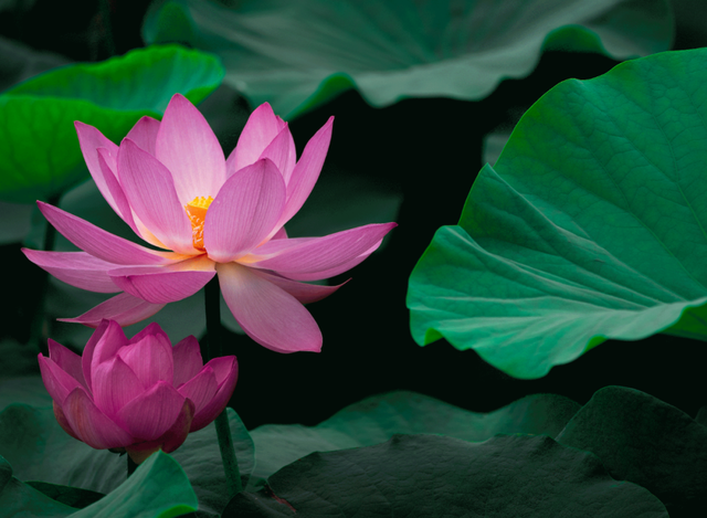 巧盼君至 | 山水画卷 陇南瑰宝：西和晚霞湖 共醉半湖流彩云霞！